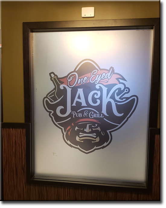 Frosted vinyl with printed graphics